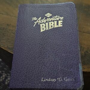 The Adventure Bible NIV - Purple Gold Lettering